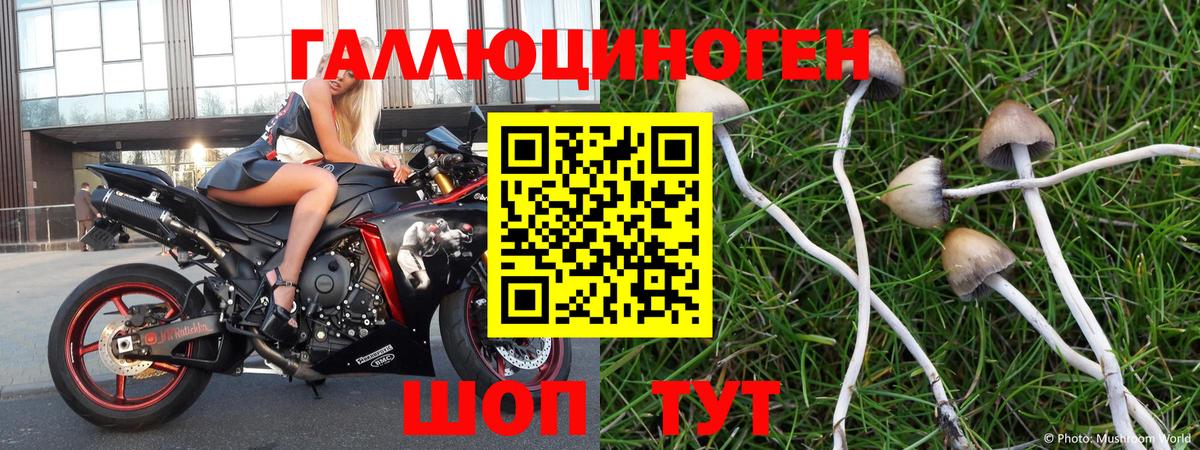 Псилоцибиновые грибы MAGIC MUSHROOMS Красноярск