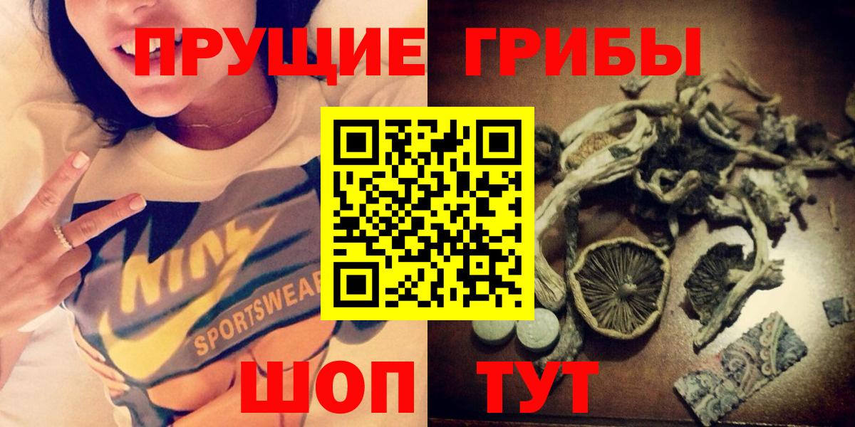 Псилоцибиновые грибы GOLDEN TEACHER  Галлюциногенные грибы прущие грибы  Вход с VPN  Красноярск 